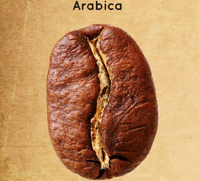 jacobs-professional-inspiration-kaffeebohnen-arabica.jpg