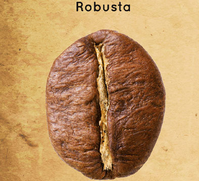 jacobs-professional-inspiration-kaffeebohnen-robusta.jpg