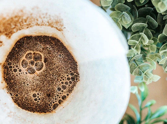 Ein weißer, benutzter Kaffeesatz von oben. Daneben sieht man grüne Blätter von Pflanzen.