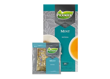 Abbildung des Packshots des Jacobs Professional Produkt Pickwick Mint, Pfefferminztee, 3 Packungen à 25 Beutel