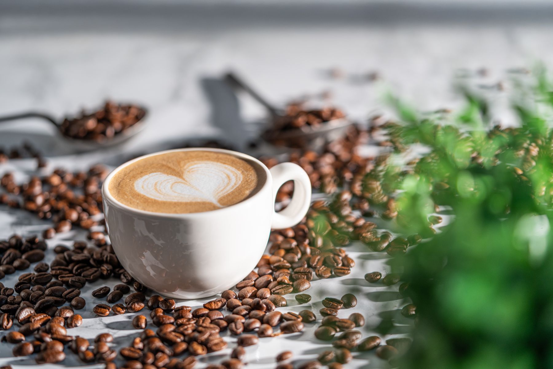 Cappucino mit Latte Art Herz und Bohnen